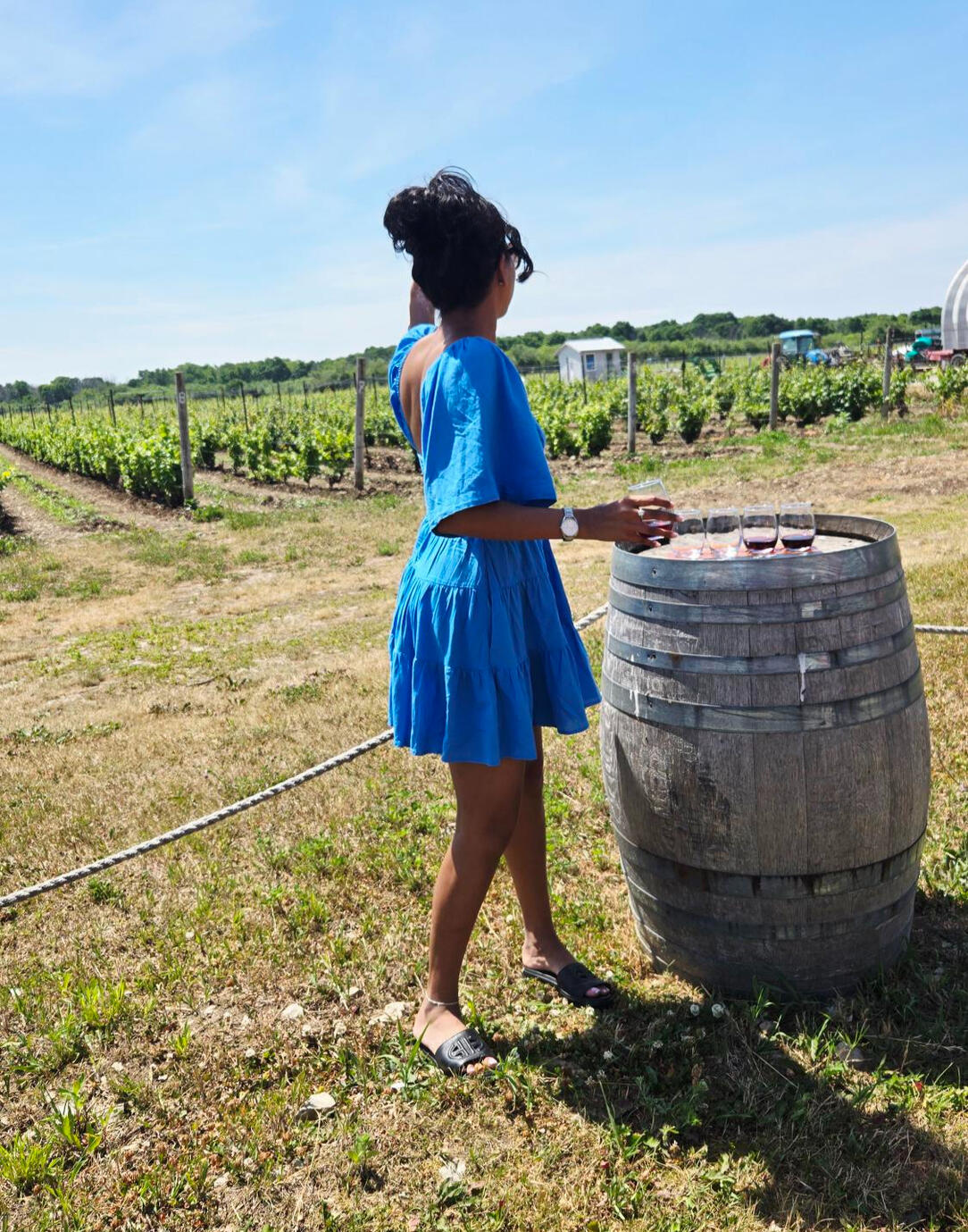 Exploring Wine Terrior